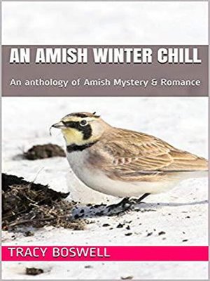 cover image of An Amish Winter Chill